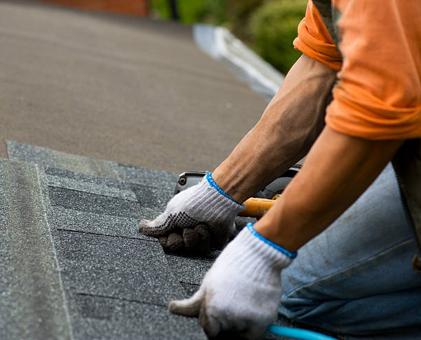 Best Flat Roof Repair Services  in Kualapuu, HI