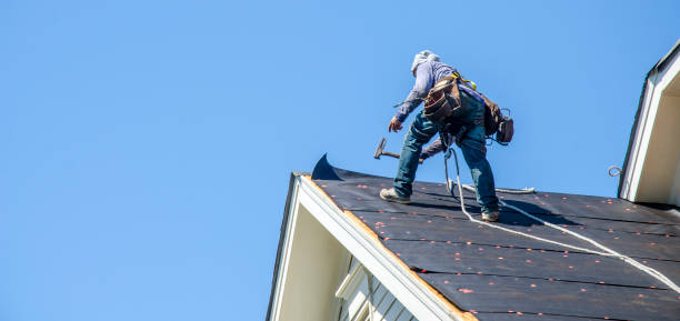 Best Metal Roofing Contractor  in Kualapuu, HI